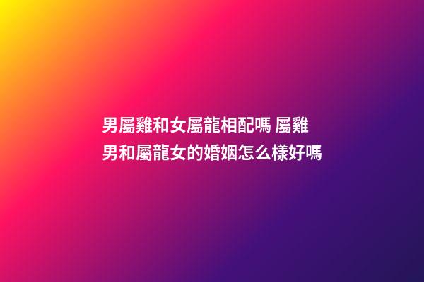 男屬雞和女屬龍相配嗎 屬雞男和屬龍女的婚姻怎么樣好嗎